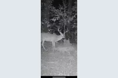 3299 Cr 1579-2, Avinger, TX 75630 - Photo 34