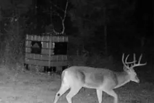 3299 Cr 1579-2, Avinger, TX 75630 - Photo 36