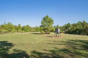 3299 Cr 1579-2, Avinger, TX 75630 - Photo 28