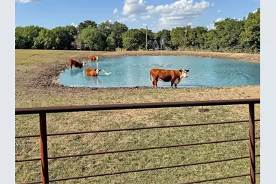 1050 County Road 5025, Leonard, TX 75452 - Photo 6