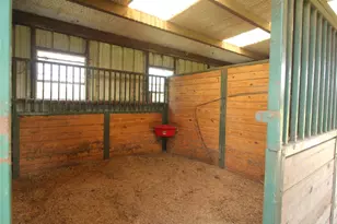 446 Vz County Road 4108, Canton, TX 75103 - Photo 30