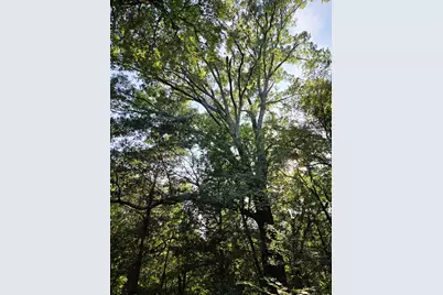 347 Copper Branch Road, Whitesboro, TX 76273 - Photo 22