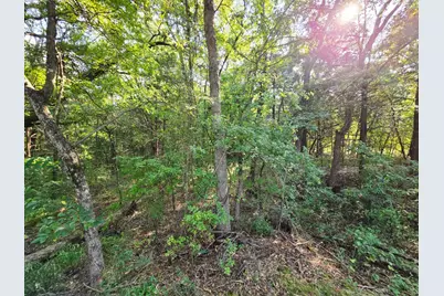 347 Copper Branch Road, Whitesboro, TX 76273 - Photo 24