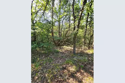 347 Copper Branch Road, Whitesboro, TX 76273 - Photo 36