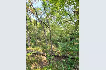 347 Copper Branch Road, Whitesboro, TX 76273 - Photo 28