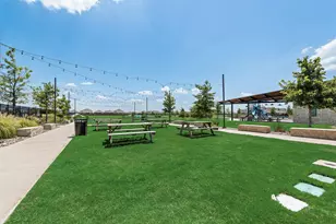 117 Boxberry Wy, Princeton, TX 75407 - Photo 26