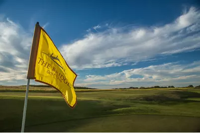 1075 Birdie Street, Gunter, TX 75058 - Photo 4