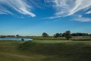 1075 Birdie St, Gunter, TX 75058 - Photo 6