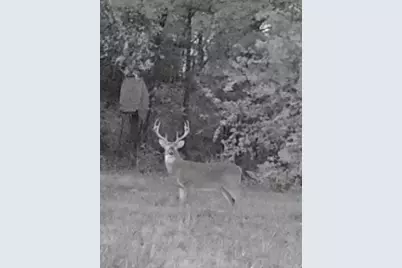 1151 Cr 24900 Road, Roxton, TX 75477 - Photo 28