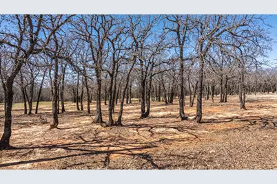 1918 Coleman Ranch Road, Tolar, TX 76476 - Photo 10