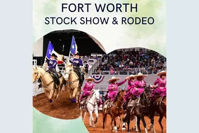 4025 Dexter Avenue, Fort Worth, TX 76107 - Photo 26