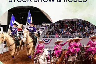 4025 Dexter Ave, Fort Worth, TX 76107 - Photo 26