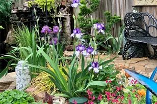 9705 Ash Creek Dr, Dallas, TX 75228 - Photo 28