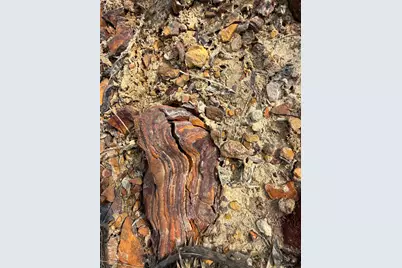 12667 Fm 1255, Canton, TX 75103 - Photo 14