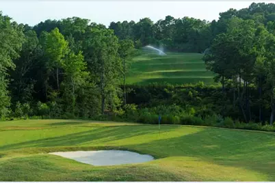 Tbd Champion Court, Gladewater, TX 75647 - Photo 4