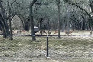 130 Winding Trail, Crawford, TX 76638 - Photo 38