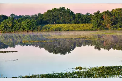 405 Wilderness Trail, Royse City, TX 75189 - Photo 36