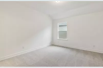 14562 Jemison Street, Pilot Point, TX 75009 - Photo 16