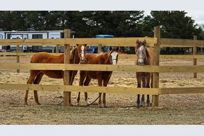1181 4878, Winnsboro, TX 75494 - Photo 14