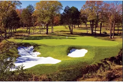 202 Castle Pines Circle, Gordonville, TX 76245 - Photo 10