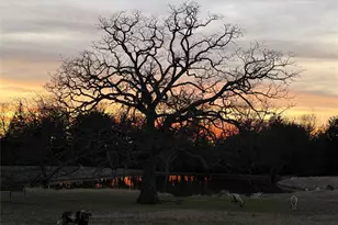 1628 Co Rd 2605, Bonham, TX 75418 - Photo 34