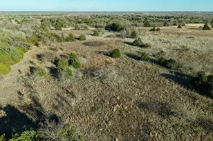 Tbd Fm 1366, Wortham, TX 76693 - Photo 14