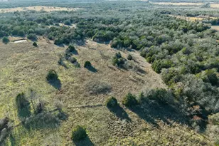 Tbd Fm 1366, Wortham, TX 76693 - Photo 12