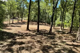 65 Alta Vista, Malakoff, TX 75148 - Photo 4