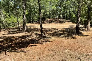 65 Alta Vista, Malakoff, TX 75148 - Photo 6