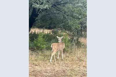 39345 Cedar Trail, Whitney, TX 76692 - Photo 14