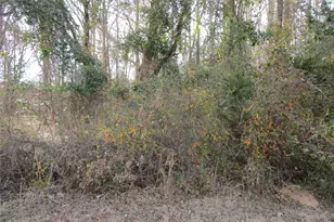 Tbd Wood County Road 2958, Alba, TX 75410 - Photo 1