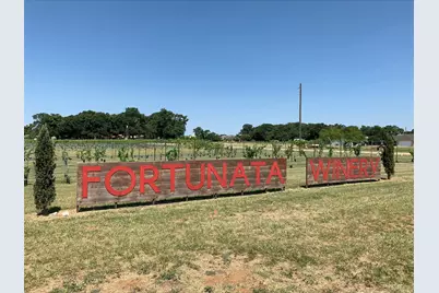 14111 Bacton Road, Pilot Point, TX 76258 - Photo 10