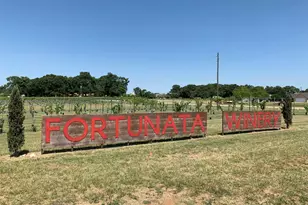 14111 Bacton Rd, Pilot Point, TX 76258 - Photo 10