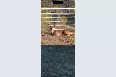 794 W Antelope Road, Jacksboro, TX 76389 - Photo 34