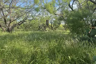 794 W Antelope Rd, Jacksboro, TX 76389 - Photo 22