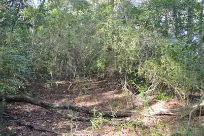 Tract #2 Long Street, Waskom, TX 75692 - Photo 10