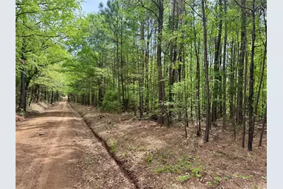 0 County Road 2742, Naples, TX 75568 - Photo 12