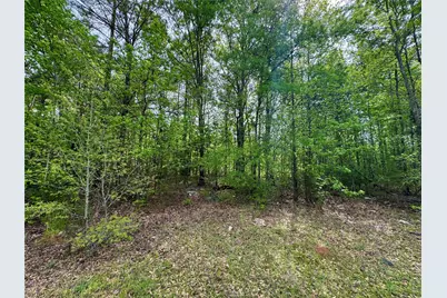 0 County Road 2742, Naples, TX 75568 - Photo 8