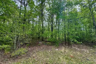 0 County Road 2742, Naples, TX 75568 - Photo 8