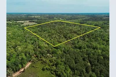 0 County Road 2742, Naples, TX 75568 - Photo 14