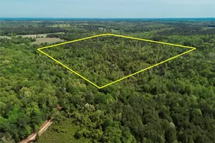 0 County Road 2742, Naples, TX 75568 - Photo 14