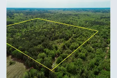 0 County Road 2742, Naples, TX 75568 - Photo 4