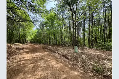 0 County Road 2742, Naples, TX 75568 - Photo 10