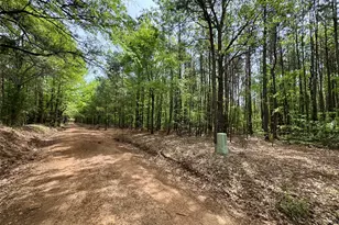 0 County Road 2742, Naples, TX 75568 - Photo 10