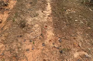 0 County Road 2742, Naples, TX 75568 - Photo 22