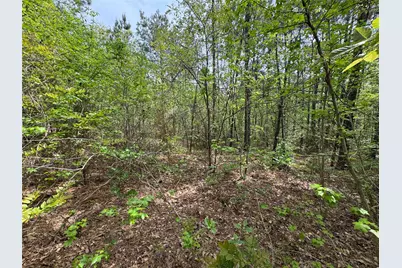 0 County Road 2742, Naples, TX 75568 - Photo 16