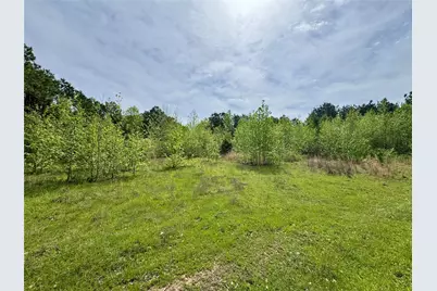 0 County Road 2742, Naples, TX 75568 - Photo 2