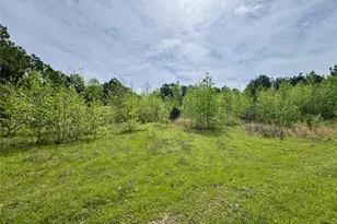 0 County Road 2742, Naples, TX 75568 - Photo 2