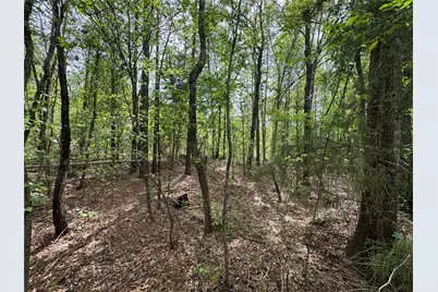 0 County Road 2742, Naples, TX 75568 - Photo 24