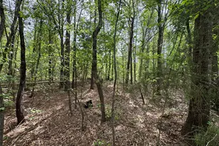 0 County Road 2742, Naples, TX 75568 - Photo 24